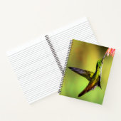 Hummingbird Pink Blume Bird Notizblock (Innenseite)