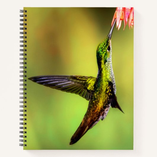 Hummingbird Pink Blume Bird Notizblock (Vorderseite)