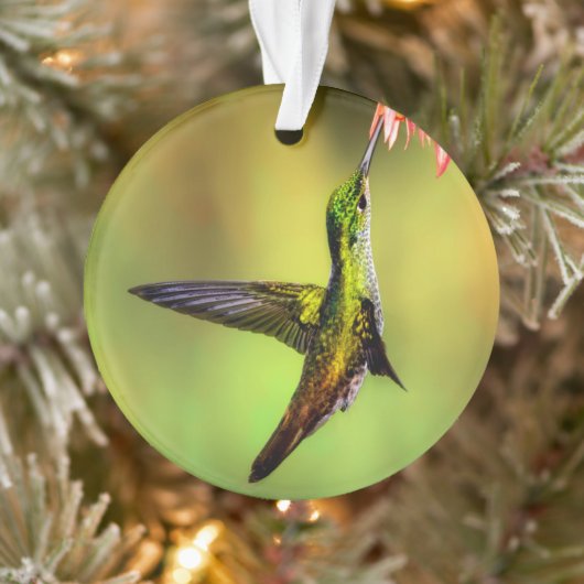 Hummingbird Pink Blume Bird Ornament (Baum)