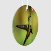 Hummingbird Pink Blume Bird Ornament (Vorderseite)