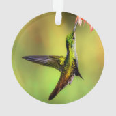 Hummingbird Pink Blume Bird Ornament (Rückseite)