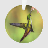 Hummingbird Pink Blume Bird Ornament (Vorderseite)
