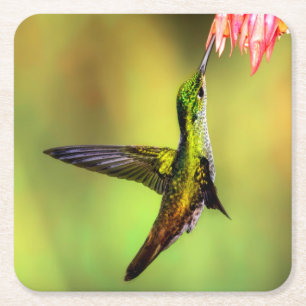 Hummingbird Pink Blume Bird Rechteckiger Pappuntersetzer