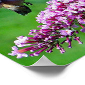 Hummingbird Pink Blume Wildlife Foto Poster (Ecke)