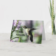 Hummingbird Pink Floral Foto Beileid