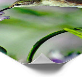 Hummingbird Pink Floral Wildlife Foto Poster (Ecke)