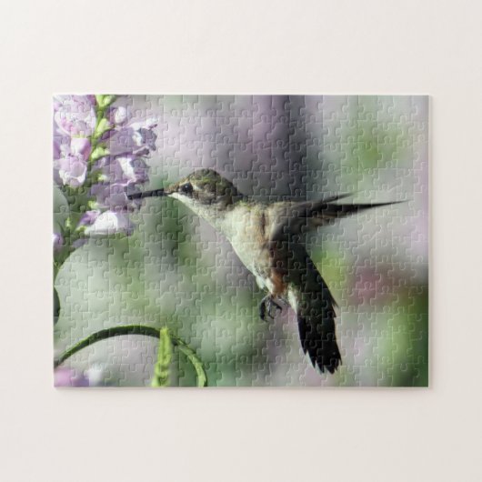Hummingbird Pink Floral Wildlife Foto Puzzle (Horizontal)