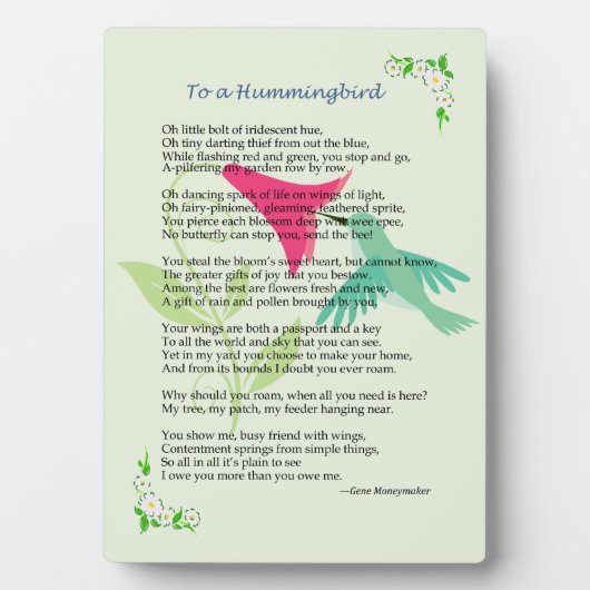 Hummingbird Plaque Fotoplatte (Vorderseite)