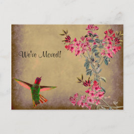 Hummingbird & Platterbsen Rustikaler Adresswechsel Postkarte