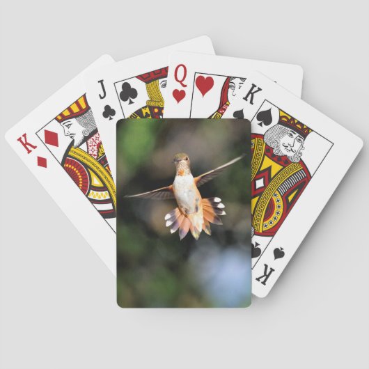Hummingbird Playing Cards Spielkarten (Rückseite)