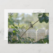 Hummingbird Postcard mit Zitat "Kleine Dinge" Postkarte (Vorne/Hinten)