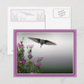 Hummingbird Postcard Postkarte (Vorne/Hinten)