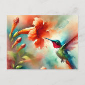 Hummingbird Postcard Postkarte (Vorderseite)