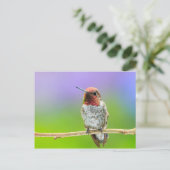 Hummingbird Postcard Postkarte (Stehend Vorderseite)
