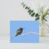 Hummingbird Postcard Postkarte (Stehend Vorderseite)