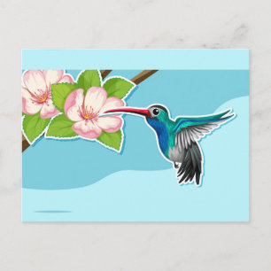 Hummingbird Postcard Postkarte
