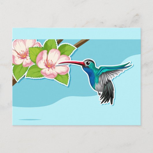 Hummingbird Postcard Postkarte (Vorderseite)