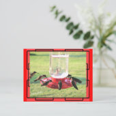 Hummingbird Postcard Postkarte (Stehend Vorderseite)