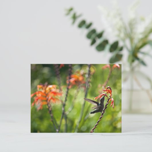 Hummingbird Postcard Postkarte (Stehend Vorderseite)
