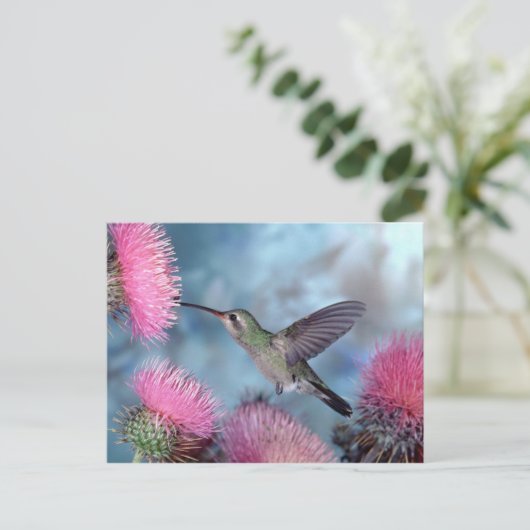 Hummingbird Postcard Postkarte (Stehend Vorderseite)