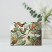 Hummingbird Postcard Postkarte (Stehend Vorderseite)