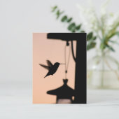 Hummingbird Postcard Postkarte (Stehend Vorderseite)