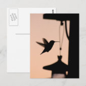 Hummingbird Postcard Postkarte (Vorne/Hinten)