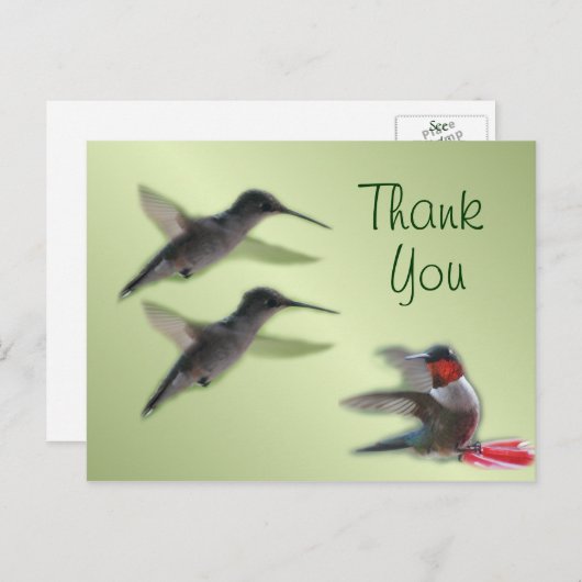 Hummingbird Postcard Vielen Dank oder jede Gelegen Postkarte (Vorne/Hinten)