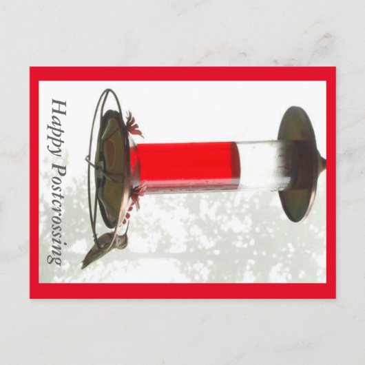 Hummingbird Postcrossong Postcard Postkarte (Vorderseite)