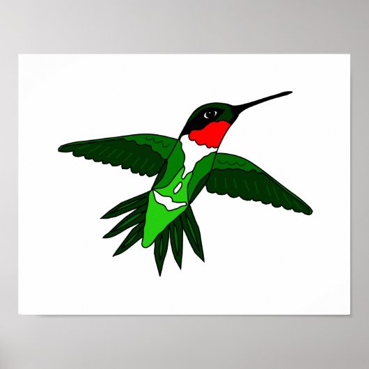 Hummingbird Poster (Vorne)