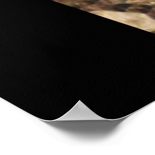 Hummingbird Poster ... Danke und Ja! (Ecke)