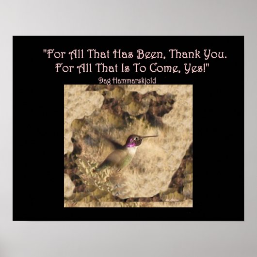 Hummingbird Poster ... Danke und Ja! (Vorne)