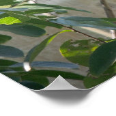 Hummingbird Poster mit "Kleinen Dingen"-Zitat (Ecke)