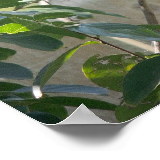 Hummingbird Poster mit "Kleinen Dingen"-Zitat (Ecke)