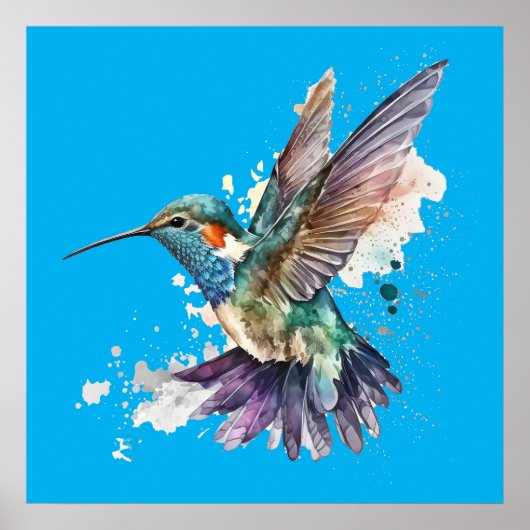Hummingbird-Poster Poster (Vorne)