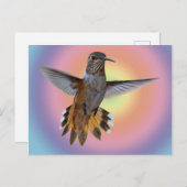 HUMMINGBIRD POSTKARTE (Vorne/Hinten)