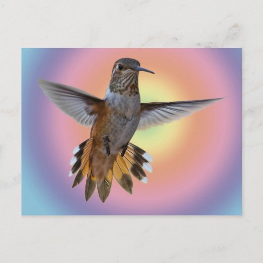 HUMMINGBIRD POSTKARTE (Vorderseite)
