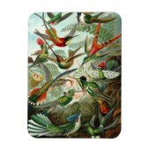 Hummingbird Premium Magnet (Vertikal)
