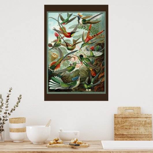 Hummingbird Print Poster (Küche)