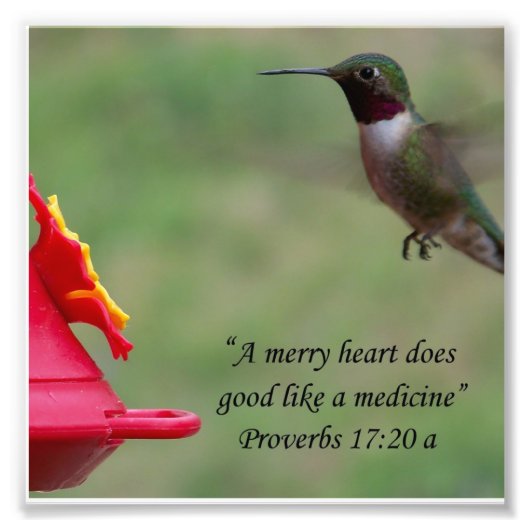 Hummingbird Proverbs 17:20 Bible Verse Fotograf Fotodruck (Vorne)
