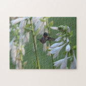 Hummingbird Puzzle (Horizontal)