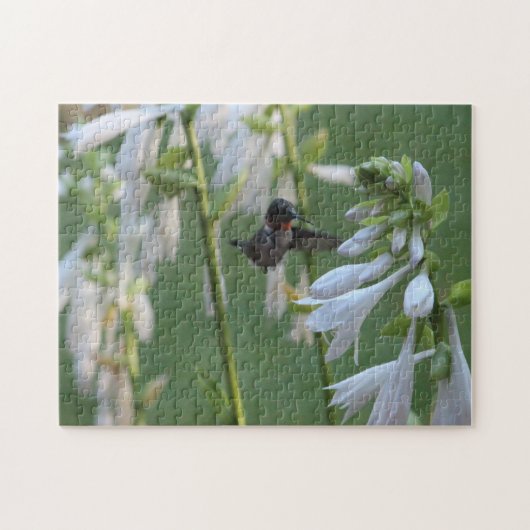 Hummingbird Puzzle (Horizontal)