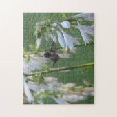 Hummingbird Puzzle (Vertikal)