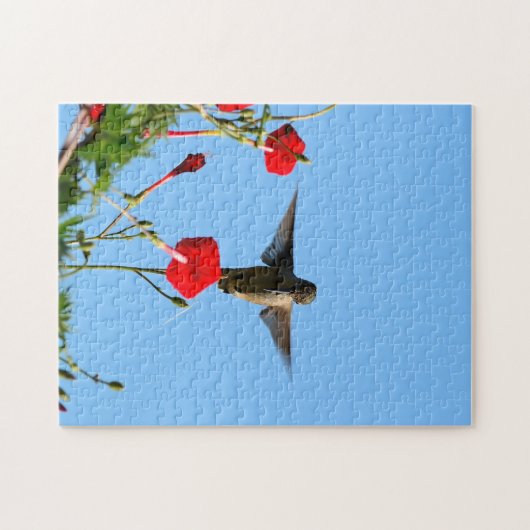 Hummingbird Puzzle (Horizontal)