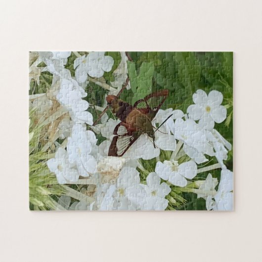 Hummingbird Puzzle (Horizontal)