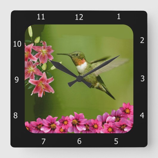 HUMMINGBIRD QUADRATISCHE WANDUHR (Vorderseite)