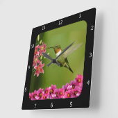 HUMMINGBIRD QUADRATISCHE WANDUHR (Winkel)