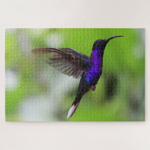 Hummingbird-Rätsel Puzzle