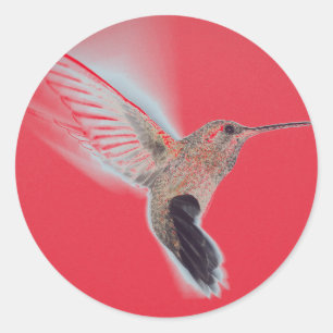 HUMMINGBIRD RED Sticker