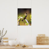 Hummingbird Resting 16 x 20 Poster (Küche)
